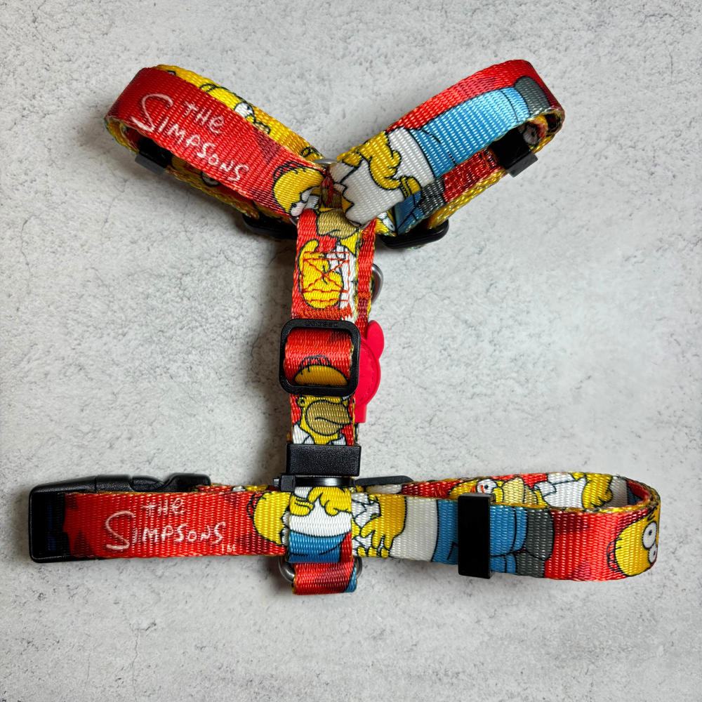 Arnes_homer_2 arnes_homer