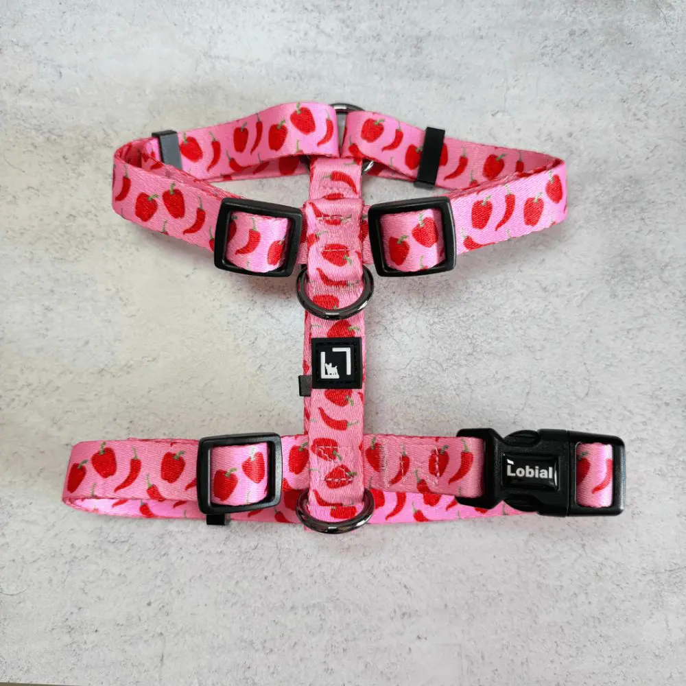 arnes hache chili pepper arnes hache chili pepper